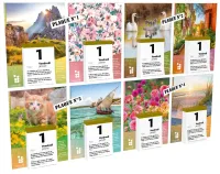 CALENDRIER BONNE SEMENCE FRANCAIS BLOC ET PLAQUE