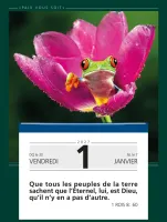CALENDRIER BONNE SEMENCE PAIX VOUS SOIT MURAL