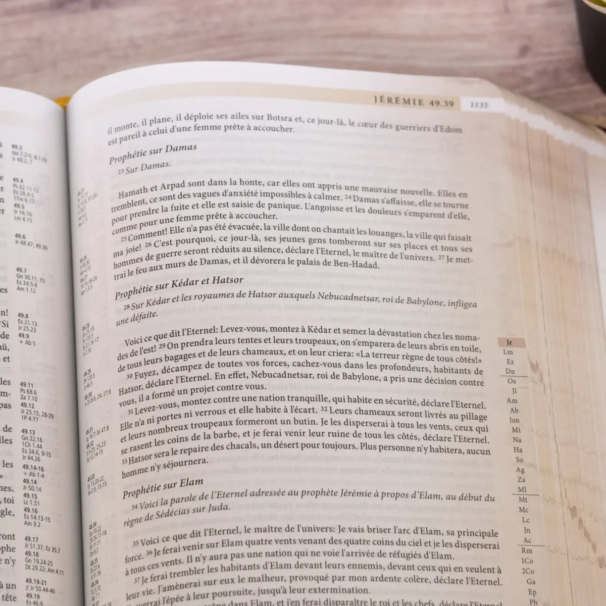 BIBLE SEGOND 21 ARCHEOLOGIQUE SOUPLE VIVELLA BRUN