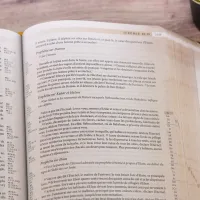 BIBLE SEGOND 21 ARCHEOLOGIQUE SOUPLE VIVELLA BRUN