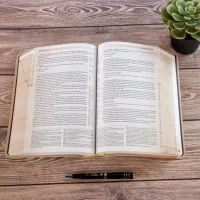 BIBLE SEGOND 21 ARCHEOLOGIQUE SOUPLE VIVELLA BRUN
