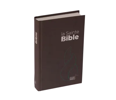 BIBLE NEG COMPACTE RIGIDE BRUNE