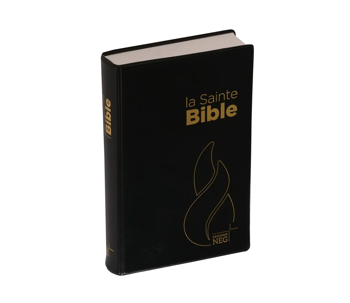 BIBLE NEG COMPACTE SOUPLE FLEXA NOIR