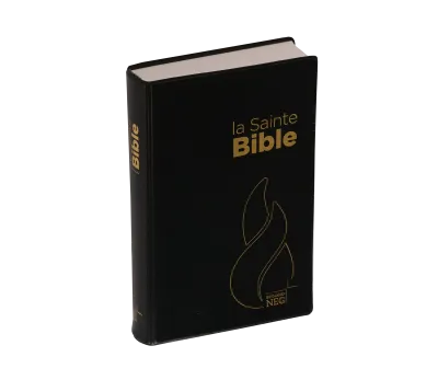 BIBLE NEG COMPACTE SOUPLE FLEXA NOIR