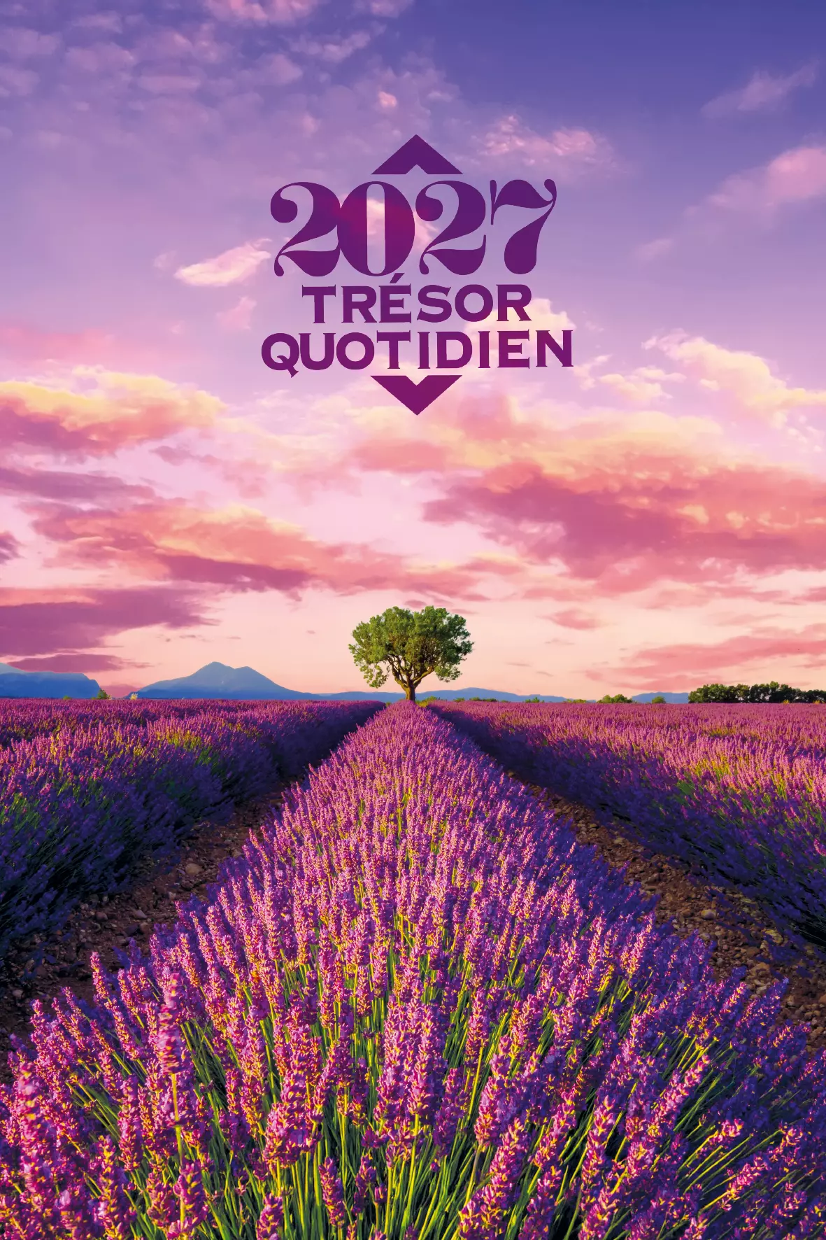 CALENDRIER VV TRESOR QUOTIDIEN - MURAL