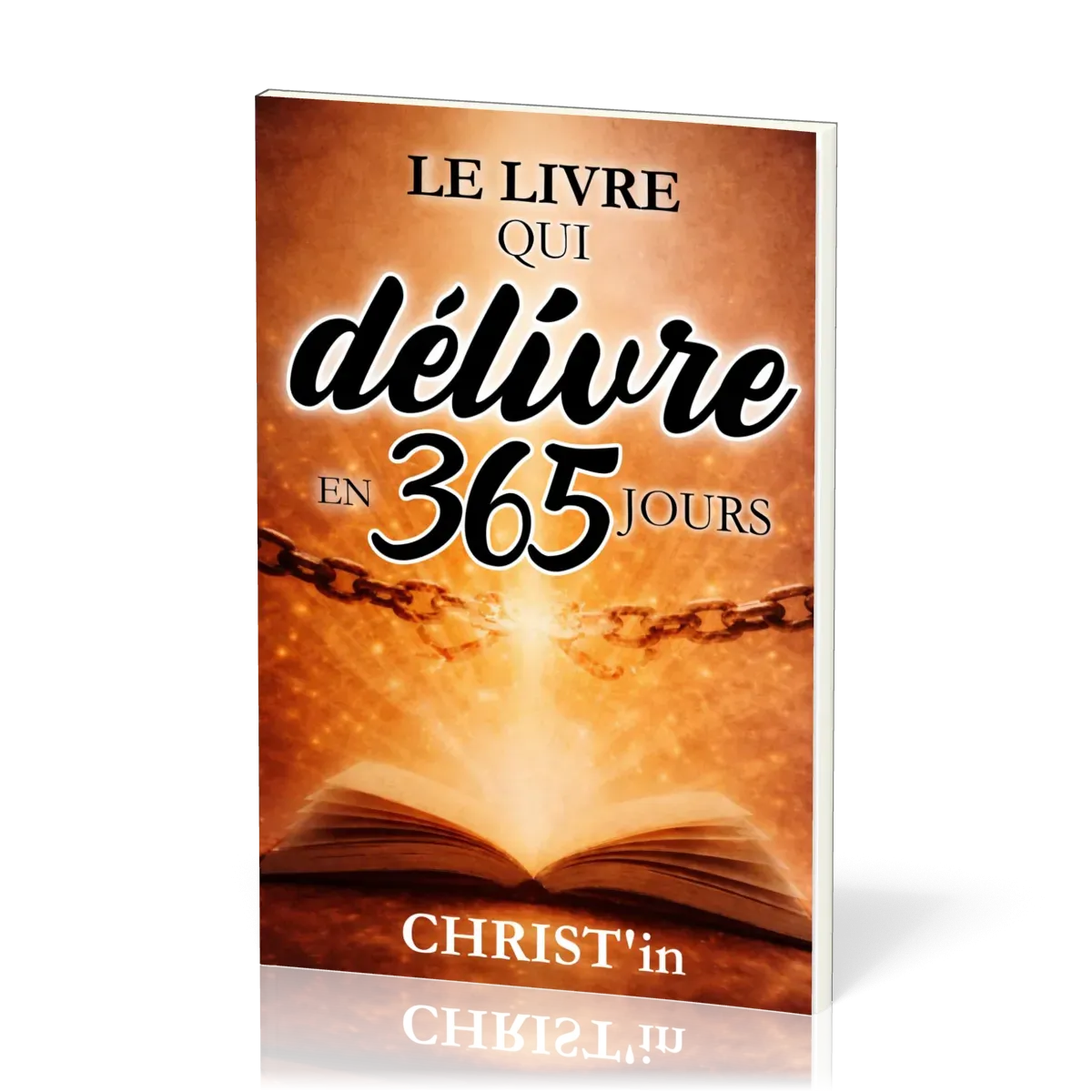 LIVRE QUI DELIVRE EN 365 JOURS