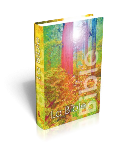 BIBLE NEG MINIATURE RIGIDE COUV. ILLUSTREE FORET