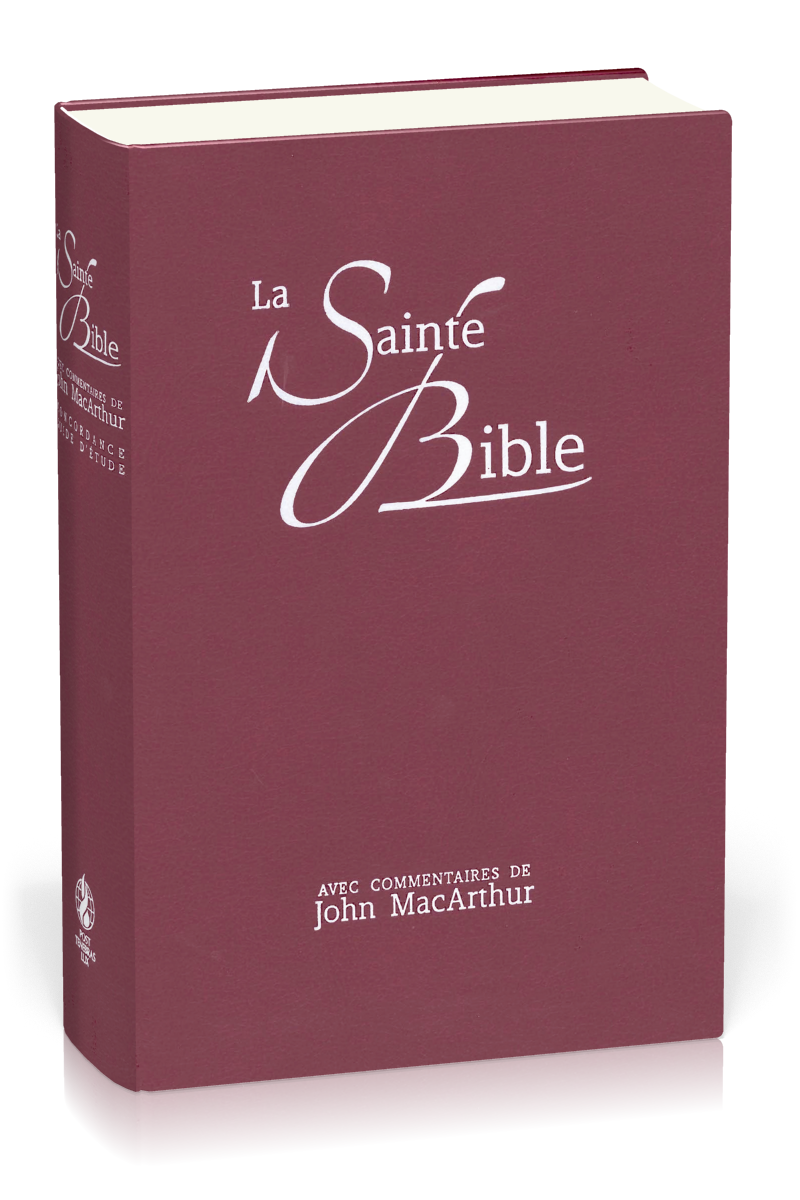 BIBLE NEG MACARTHUR RIGIDE SIMILICUIR, BRUN