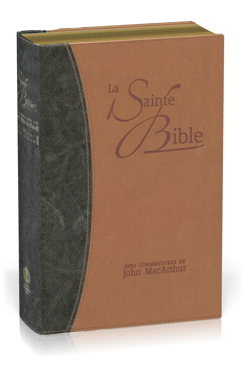 BIBLE NEG MACARTHUR SOUPLE SIMILICUIR, TR. OR DUO BLEU ET BEIGE