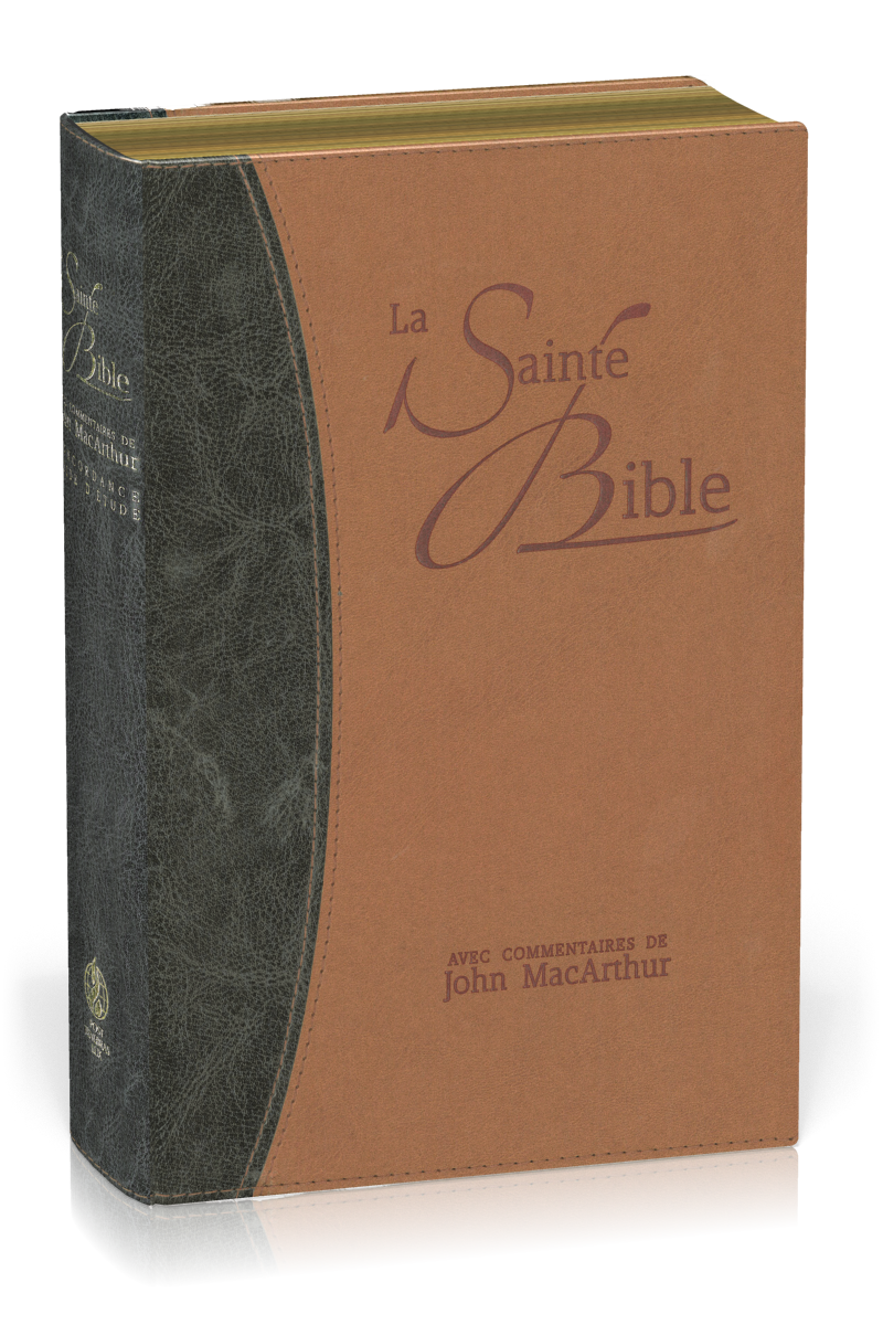 BIBLE NEG MACARTHUR SOUPLE VIVELLA TR. OR DUO BLEU ET BEIGE