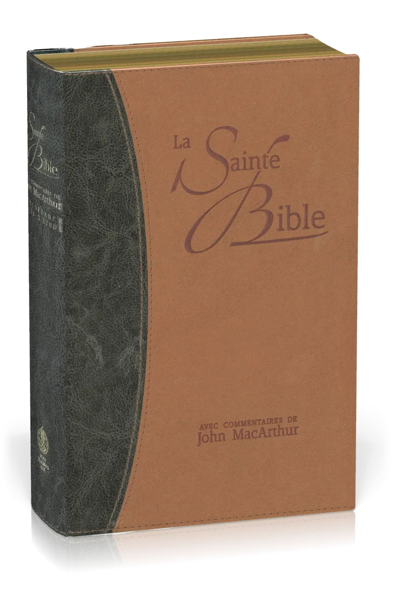 BIBLE NEG MACARTHUR SOUPLE VIVELLA TR. OR DUO BLEU ET BEIGE
