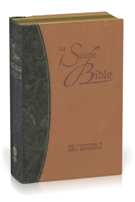 BIBLE NEG MACARTHUR SOUPLE VIVELLA TR. OR DUO BLEU ET BEIGE