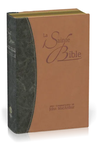 BIBLE NEG MACARTHUR SOUPLE VIVELLA TR. OR DUO BLEU ET BEIGE