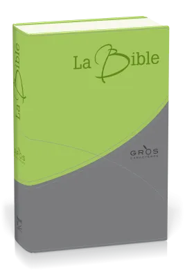 BIBLE SEGOND 21 GROS CARACTERES DUO GRIS/VERT SOUPLE