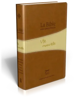 BIBLE SEGOND 21 VIE NOUVELLE SOUPLE DUO BRUNE AVEC BOITIER