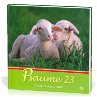 PSAUME 23 POUR CHAQUE JOUR