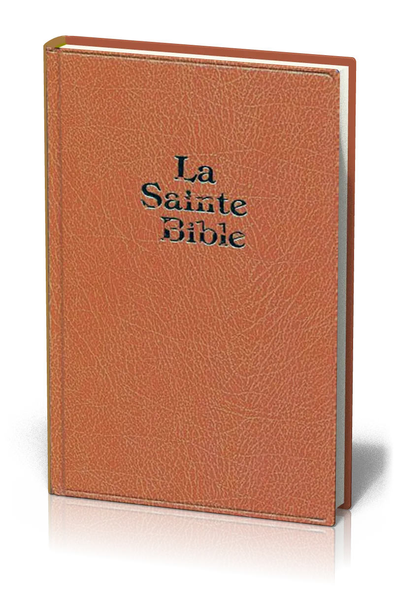 BIBLE DARBY GRAND FORMAT SKIVERTEX MARRON OU VERTE