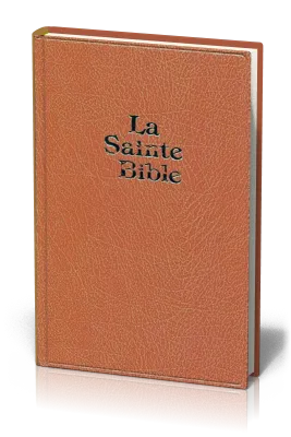 BIBLE DARBY GRAND FORMAT SKIVERTEX MARRON OU VERTE