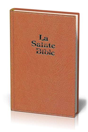 BIBLE DARBY GRAND FORMAT SKIVERTEX MARRON OU VERTE