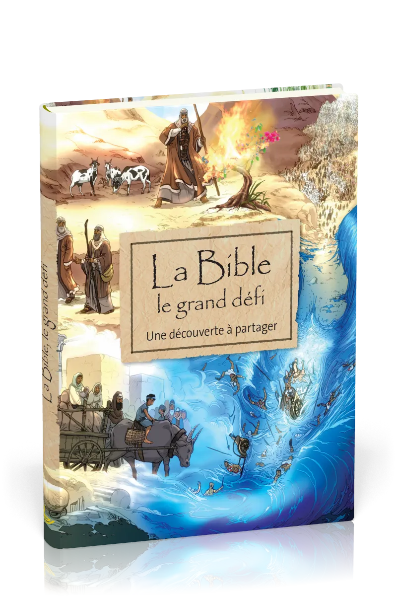 BIBLE LE GRAND DEFI (LA) - UNE DECOUVERTE A PARTAGER