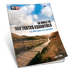 E100 - LE DEFI POUR LES GROUPES