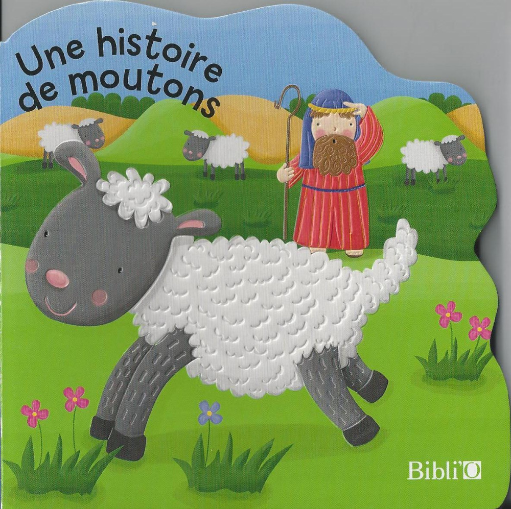 HISTOIRE DE MOUTONS - ALBUM CARTONNE