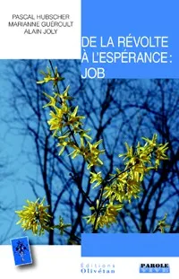 DE LA REVOLTE A L'ESPERANCE - JOB