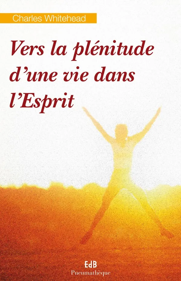 VERS LA PLENITUDE D'UNE VIE DANS L'ESPRIT