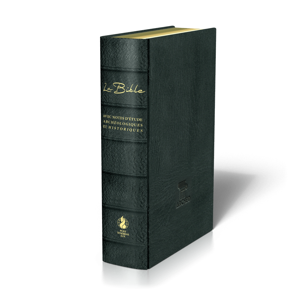 BIBLE SEGOND 21 ARCHEOLOGIQUE SOUPLE CUIR VERITABLE NOIR