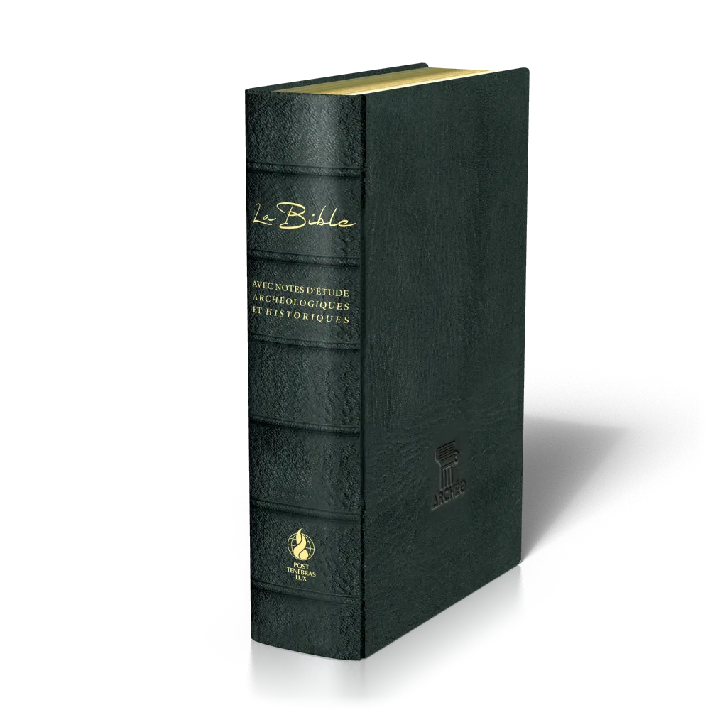 BIBLE SEGOND 21 ARCHEOLOGIQUE SOUPLE CUIR VERITABLE NOIR