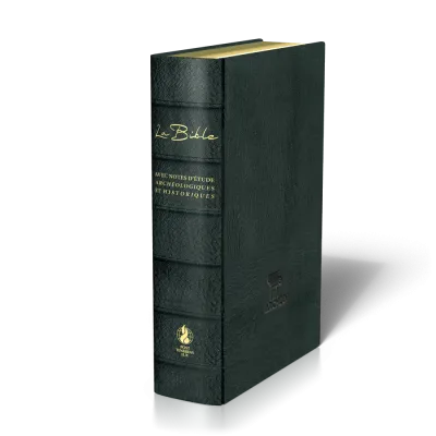 BIBLE SEGOND 21 ARCHEOLOGIQUE SOUPLE CUIR VERITABLE NOIR
