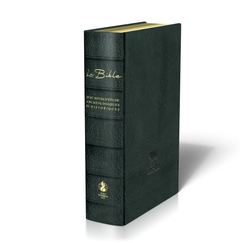 BIBLE SEGOND 21 ARCHEOLOGIQUE SOUPLE CUIR VERITABLE NOIR