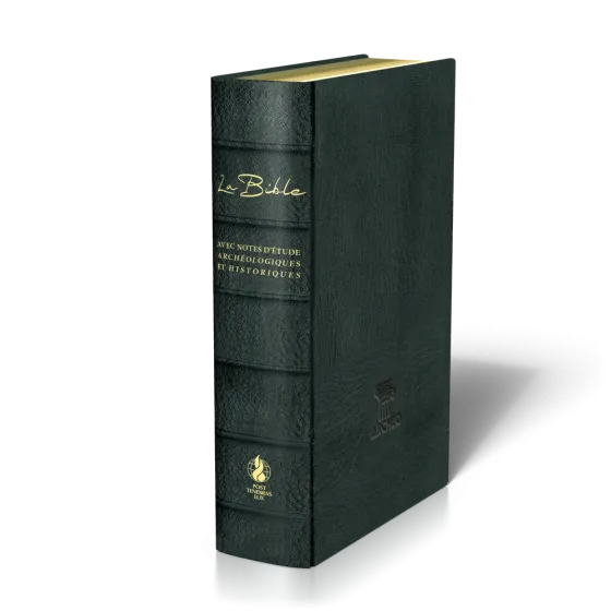 BIBLE SEGOND 21 ARCHEOLOGIQUE SOUPLE CUIR VERITABLE NOIR