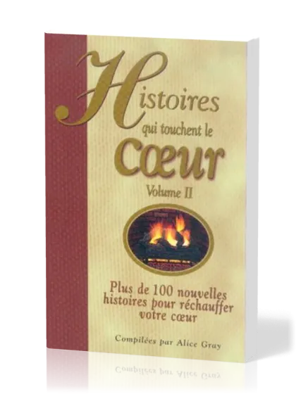 HISTOIRES QUI TOUCHENT LE COEUR VOL.2