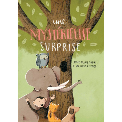 MYSTERIEUSE SURPRISE (UNE)