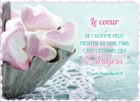 MAGNET - LE COEUR DE L'HOMME PEUT MEDITER SA VOIE PR.16.9