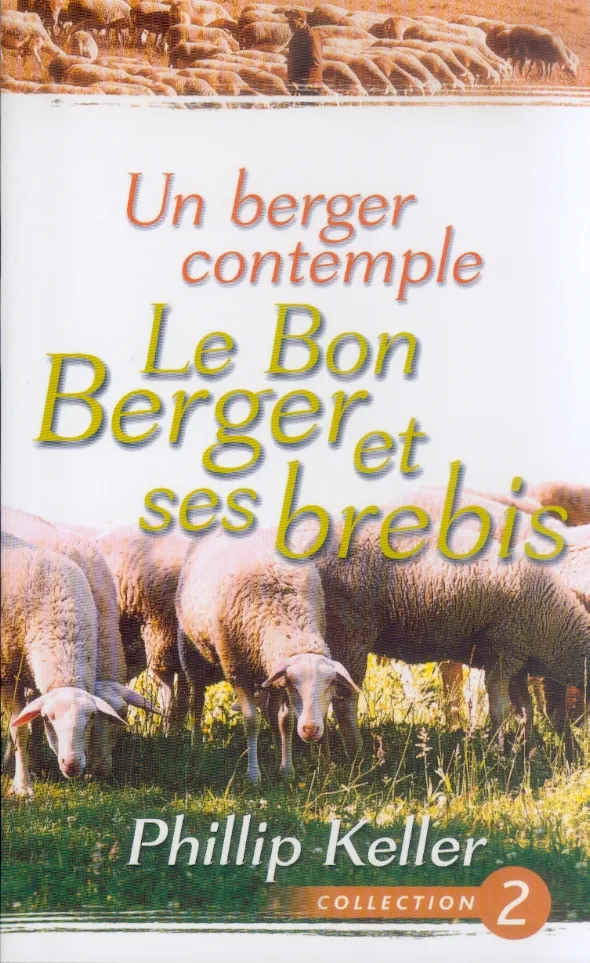 UN BERGER CONTEMPLE - LE BON BERGER ET SES BREBIS