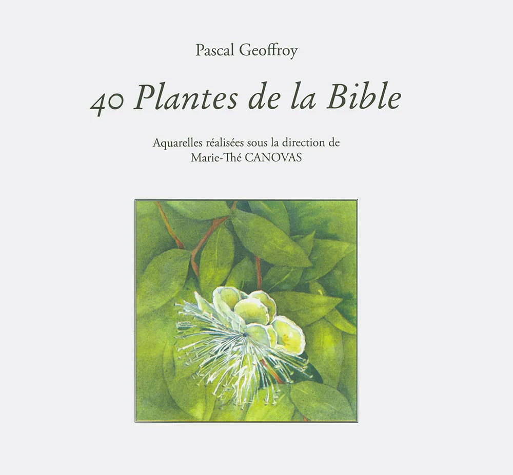 40 PLANTES DE LA BIBLE - AQUARELLES REALISEES SOUS LA DIRECTION DE MARIE-THE CANOVAS