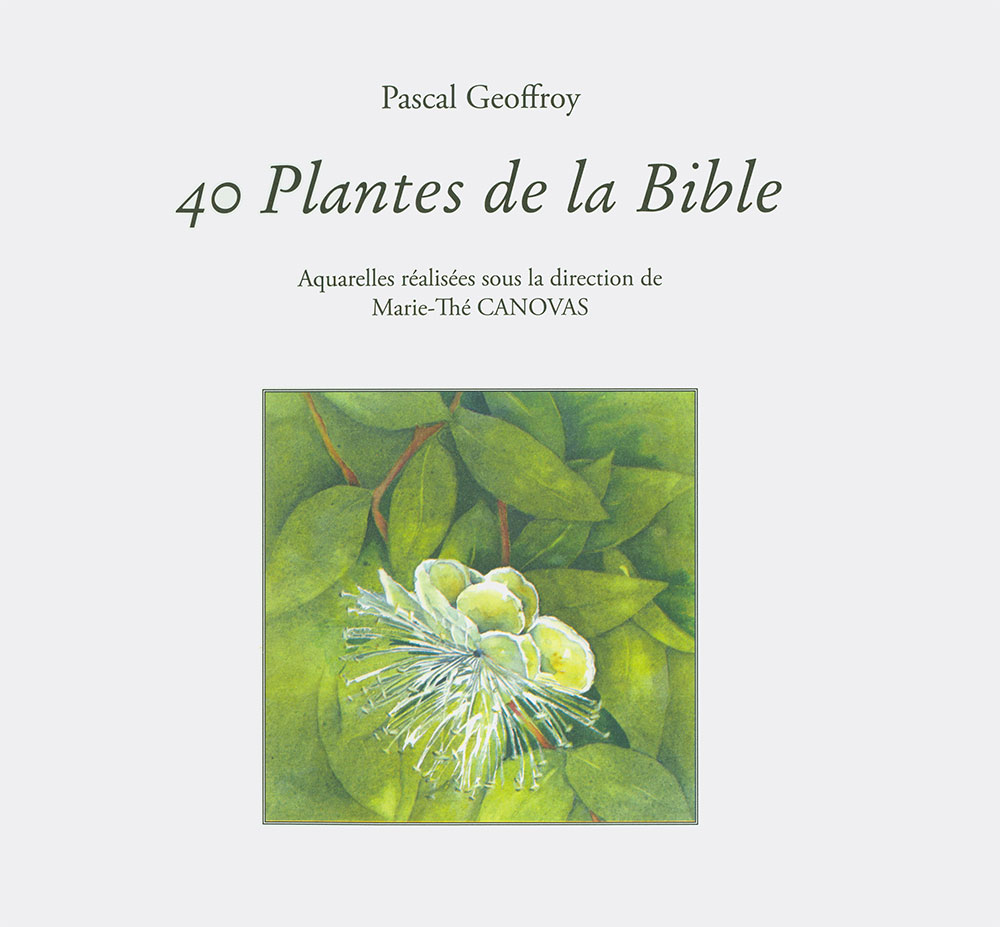 40 PLANTES DE LA BIBLE