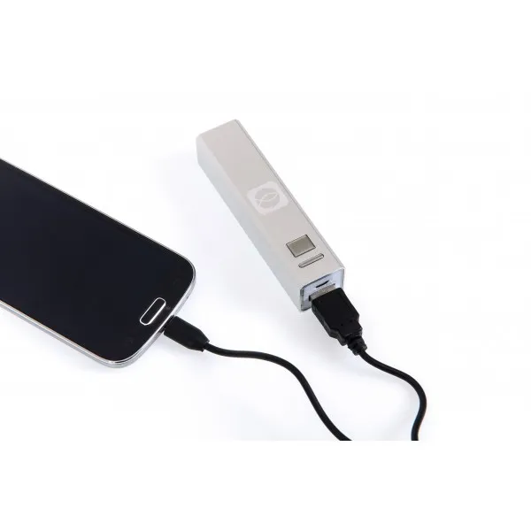 BATTERIE DE SECOURS ICHTUS ARGENT USB (5V/1A)