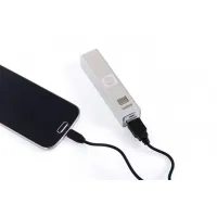 BATTERIE DE SECOURS ICHTUS ARGENT USB (5V/1A)