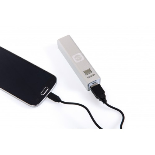 BATTERIE DE SECOURS ICHTUS ARGENT USB (5V/1A)