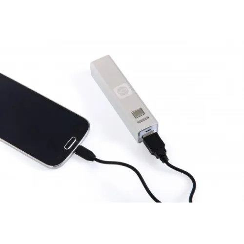 BATTERIE DE SECOURS ICHTUS ARGENT USB (5V/1A)