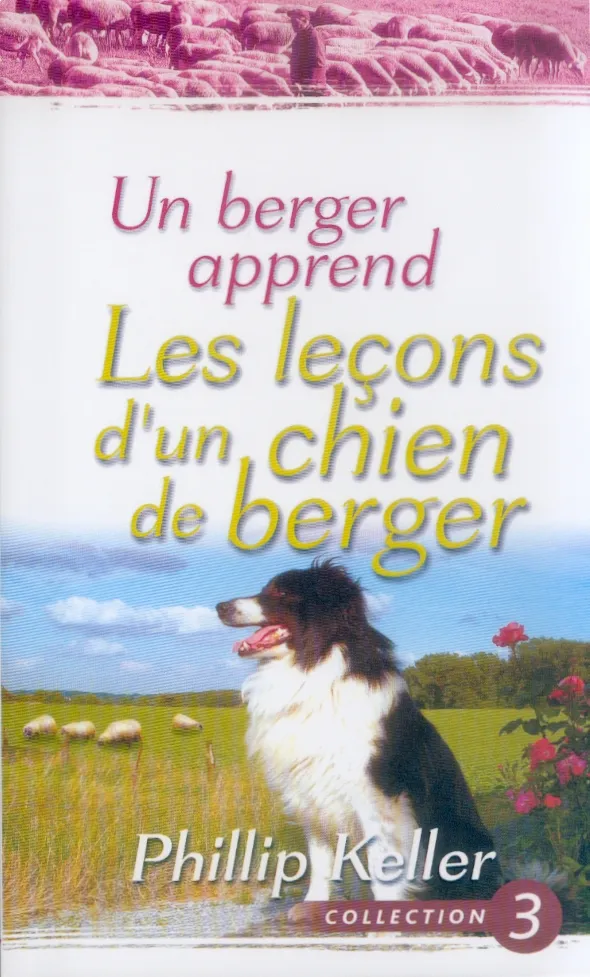 UN BERGER APPREND LES LECONS D'UN CHIEN DE BERGER