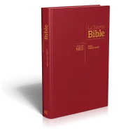 BIBLE NEG GROS CARACTERES RIGIDE BORDEAUX