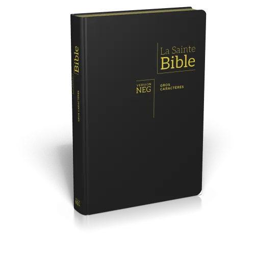 BIBLE NEG GROS CARACTERES SOUPLE FIBROCUIR TR. OR ONGLETS