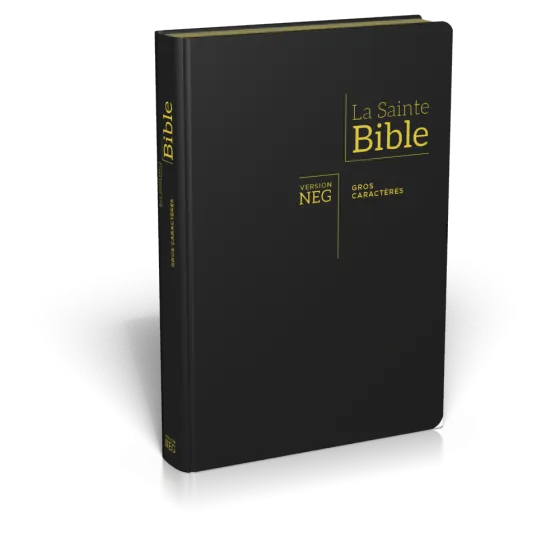 BIBLE NEG GROS CARACTERES SOUPLE FIBROCUIR TR. OR ONGLETS