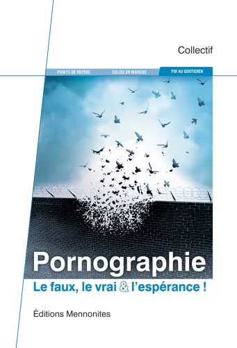 PORNOGRAPHIE - LE FAUX LE VRAI ET L'ESPERANCE