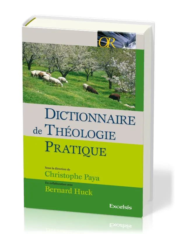 DICTIONNAIRE DE THEOLOGIE PRATIQUE