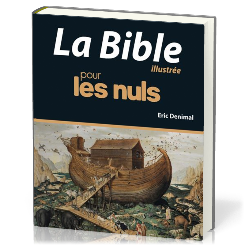 BIBLE POUR LES NULS ILLUSTREE (LA) - NELLE EDITION